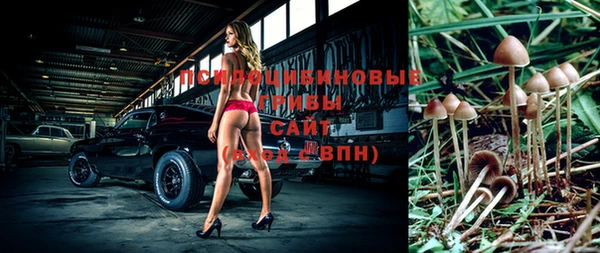 сатива Горнозаводск