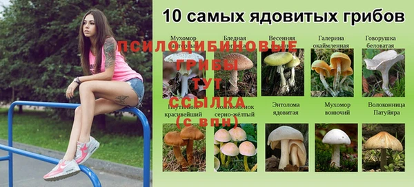 первитин Горно-Алтайск