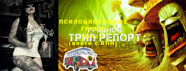 первитин Горно-Алтайск